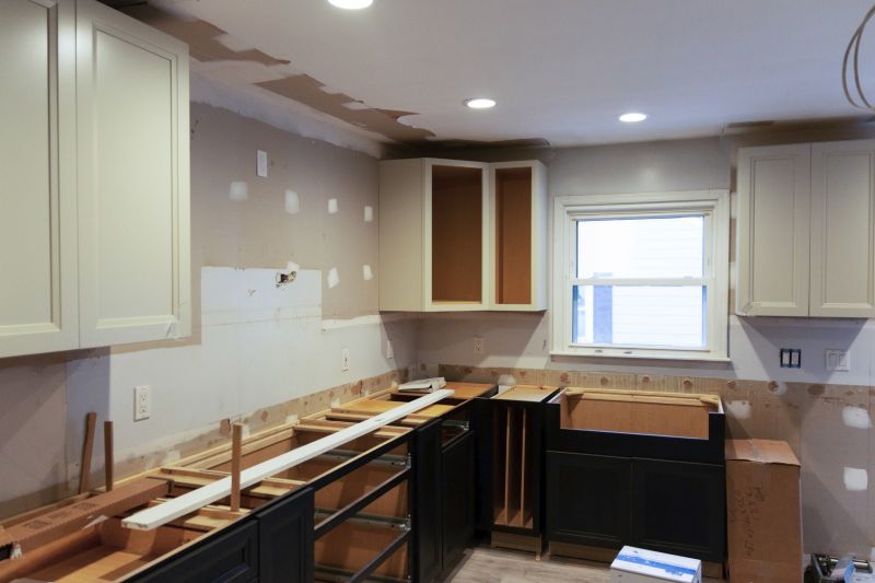 Kitchen Renovation During